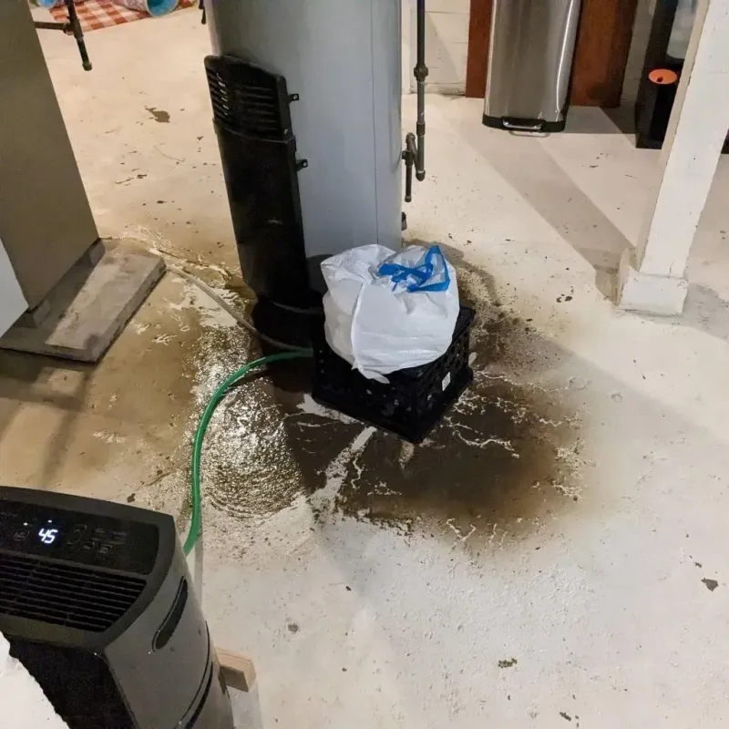 Sewage Backup Cleanup Service in Creswell, OR